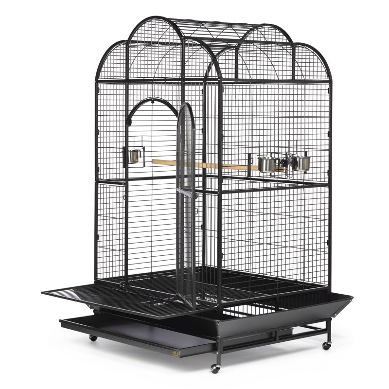 Tucker Murphy Pet™ Backes 78.25'' Steel Victorian Top Floor Bird Cage